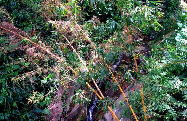 Lake Reach Residence - Foto 16