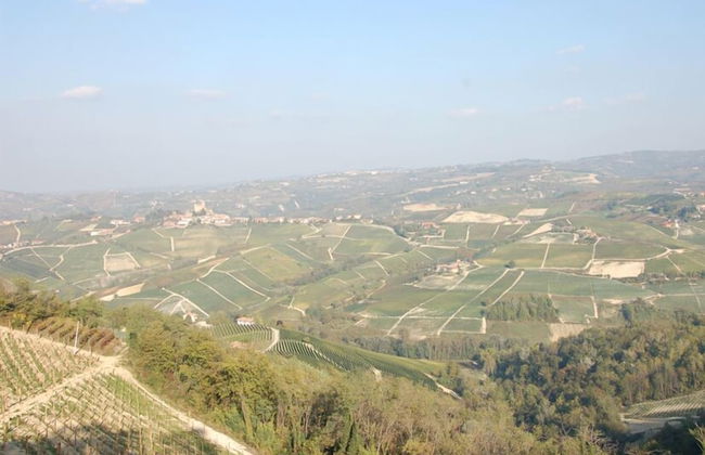 Agriturismo Bric di Gai - Foto 39