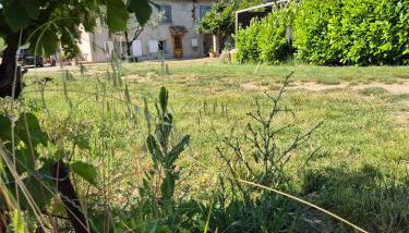 Gîte entre Rieu et Fournache - Foto 2, Garden
