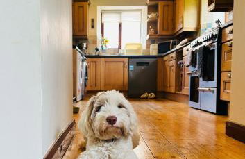 Wagtail Barn - Foto 11