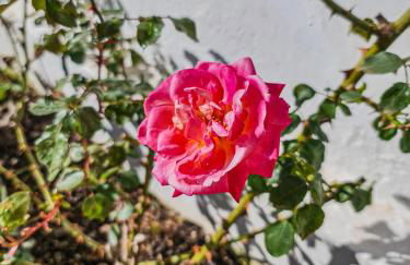 Casa CAMPOAMOR - Foto 31