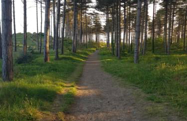 Pen llyn holiday cottages and caravan - Foto 19