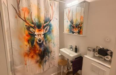 Über den Dächern von Aachen - Foto 9