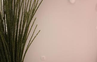 Cardeal Suites & Apartments - Foto 76