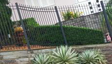 Apartamento cabernet 1 - Foto 2