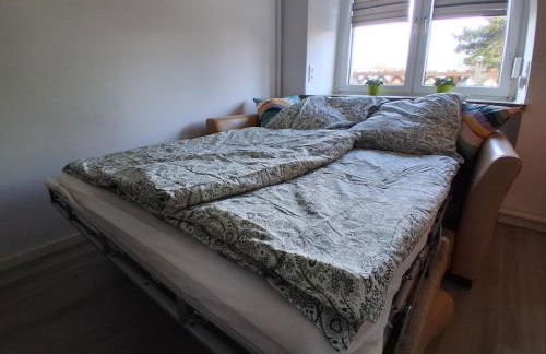 Pension Ronnys wilde Wiese - Foto 29