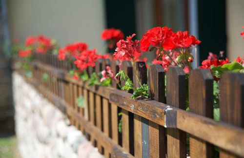 Agriturismo Albarello - Foto 8