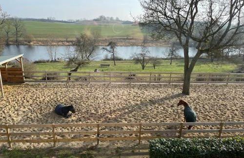 Neu möbliertes 1 - Zimmerapartment mitten in der Natur - Foto 16