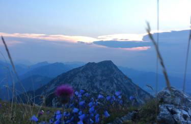 Ferienwohnung Bergliebe - Photo 1