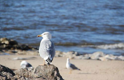 Casa do Mar - Foto 20