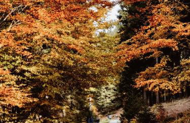 Sowie Chatki - domki z widokiem na Góry Sowie - Foto 67