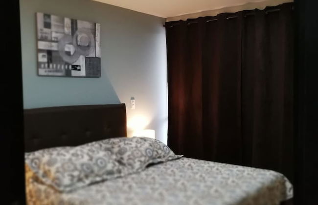 New and Cozy House in the Heart of the Coffee Region - Foto 5