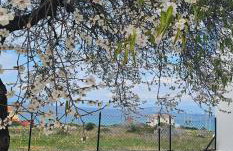 Maria's place Agkistri - Foto 31