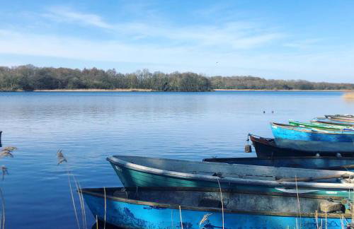 Meadow Barn - dog freindly barn sleeping 6 in Edinghtorpe, Norfolk - Foto 49