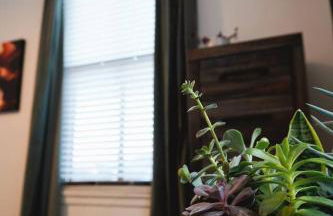 Canyon Stop - Foto 18