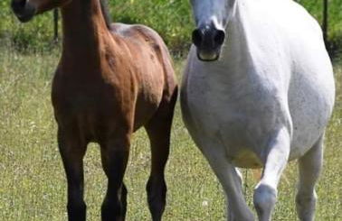 Agriturismo Santa Lucia - Foto 48