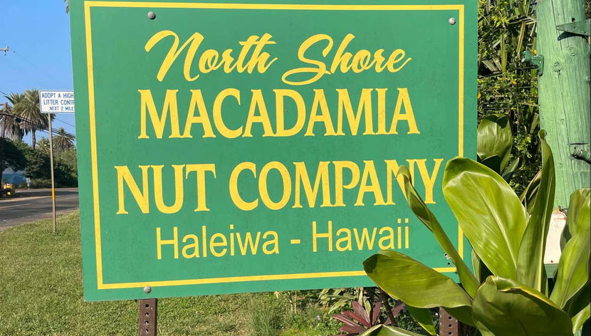 North Shore Oahu Private Tour - Foto 2