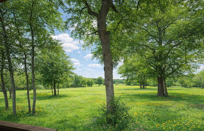 Log Cabin for Family Glamping Vacation near San Antonio - Foto 51