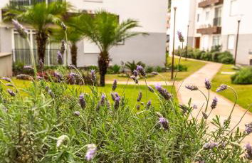 Recanto das Lavandas - Foto 61