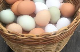 Ferienhof Weber Nieratz - Foto 36