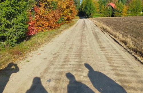 Kaszubski Zakątek - Foto 72