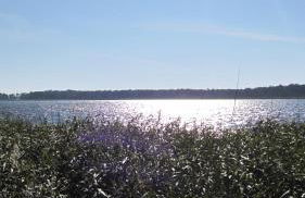 Ferienwohnungen Reetwinkel in Wieck - Foto 4
