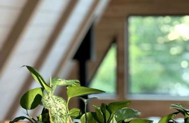 Paddle Point - Foto 77