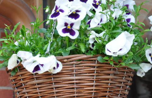 The Hayloft at Oakwood Barn - Photo 8