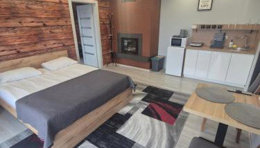 Willa "Aparthause" E-Apartamenty - Foto 4