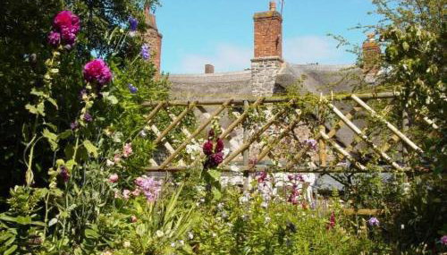 Minehead Forget me not Cottage - Foto 4, Garden