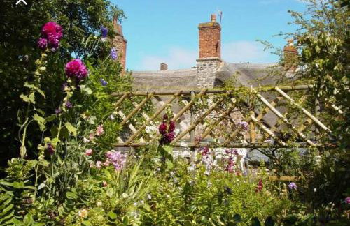 Minehead Forget me not Cottage - Photo 4