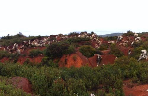 Hotel Rural Finca La Herencia - Foto 41