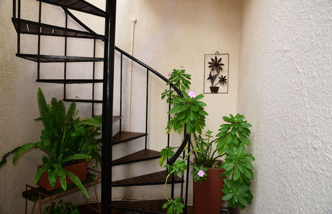 Bradclin House - Foto 66