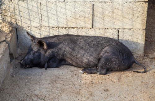 Agriturismo Fassi - Foto 46