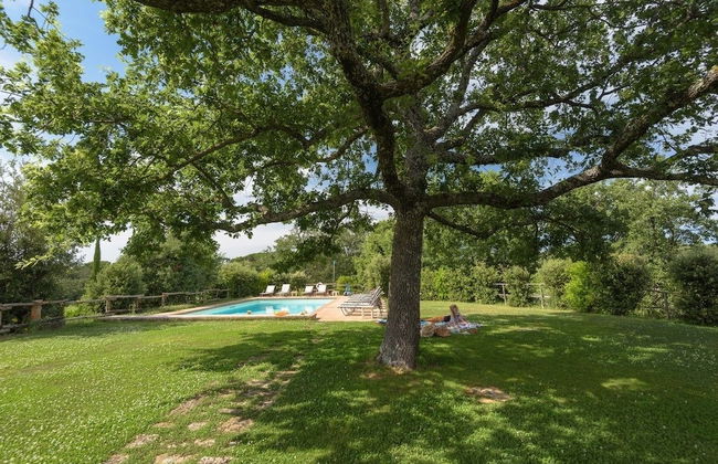 Agriturismo Cerreto - Photo 16