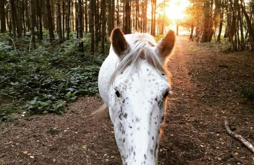 Little Banks Barn - Foto 8