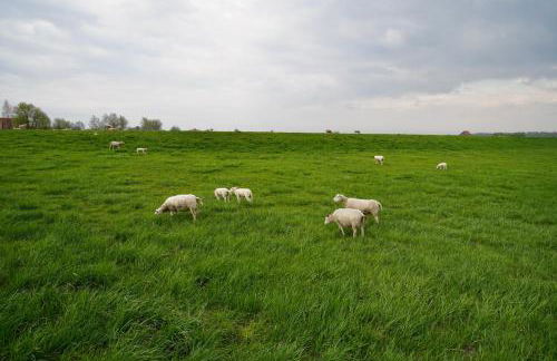 Ferienhaus Meerzeit-Hooksiel - Foto 63