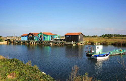 La Fleur des Marais - Maison tout confort au calme, grand jardin & balançoire - Foto 41