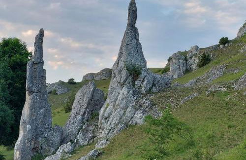 Ferienwohnung Am Eselsburger Tal - Foto 7