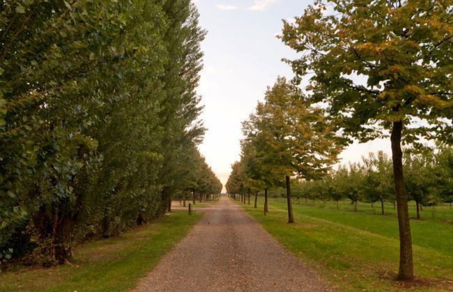 Agriturismo La Lupa - Foto 19