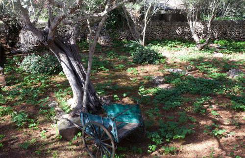 Agroturísme Ca'n Gaià - Foto 138