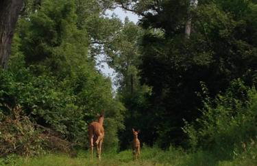 Huge Yard Family friendly Smart home Walk To Beach Dunes Hiking Trails - Foto 15