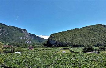 La Masera Holiday - Oliveto - Photo 28