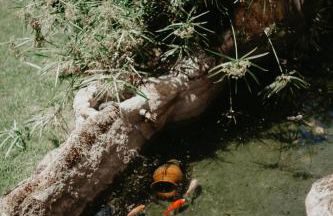 Casa do Bó Nel - Foto 59