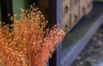 Elena's House - Photo 25