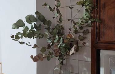 Como en casa - Foto 33