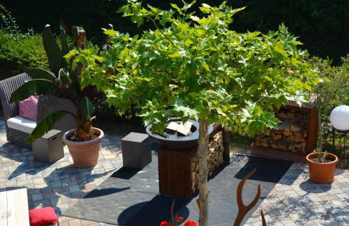 Ferien-Apartment im Genusshotel Hirschen (Südschwarzwald) - Foto 36