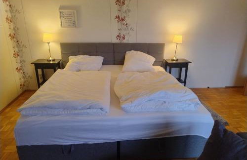 Geräumiges Appartment Nahe Hannover Messe - Foto 1
