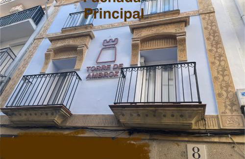 Torre de Ambroz - Foto 43