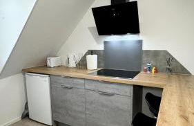 Charmant appartement 3 pièces proche hyper centre Strasbourg - Foto 21